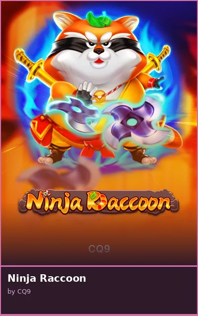 Ninja Raccoon
